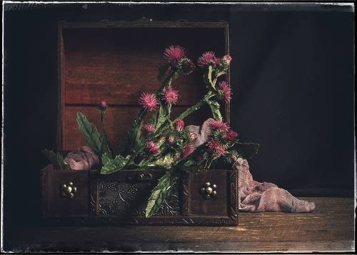 С чертополохом. 