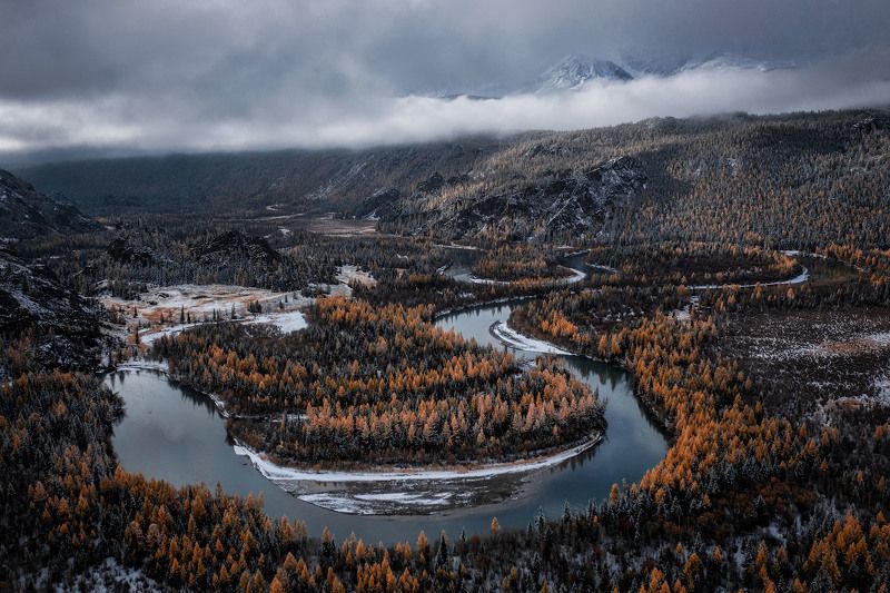 Curves фото превью