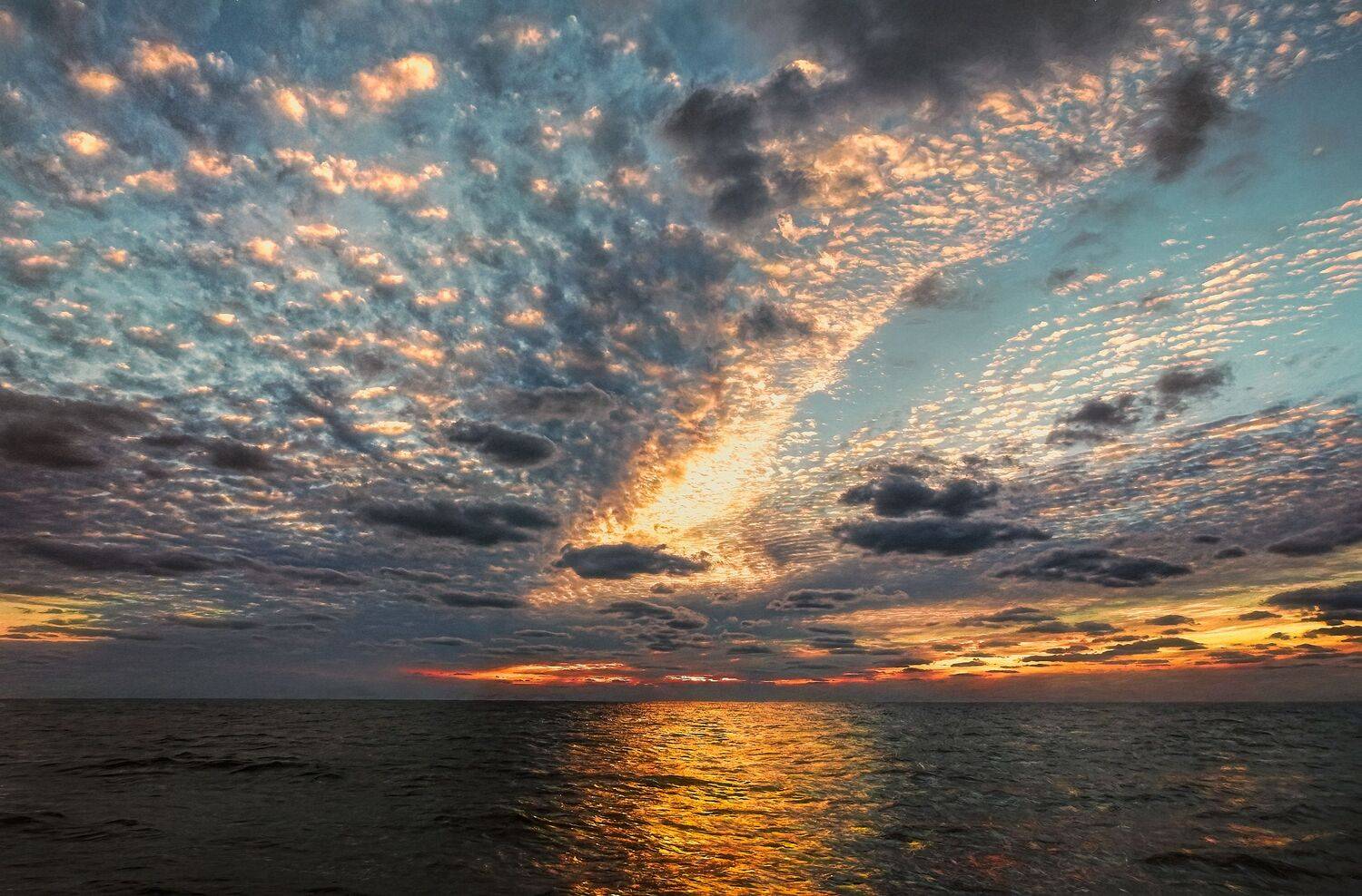 , Шварцман Евгений