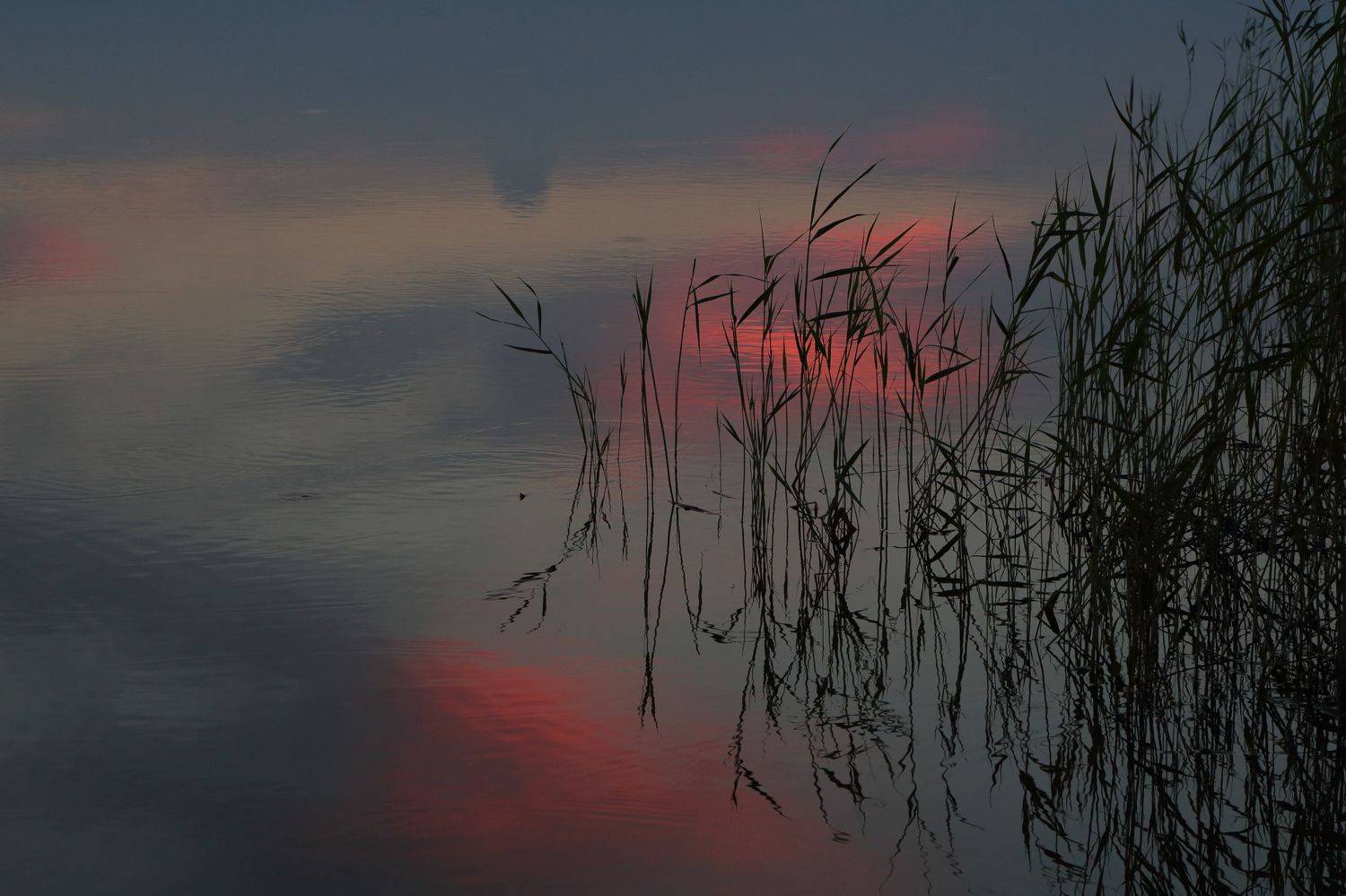 , Евгений Зинов