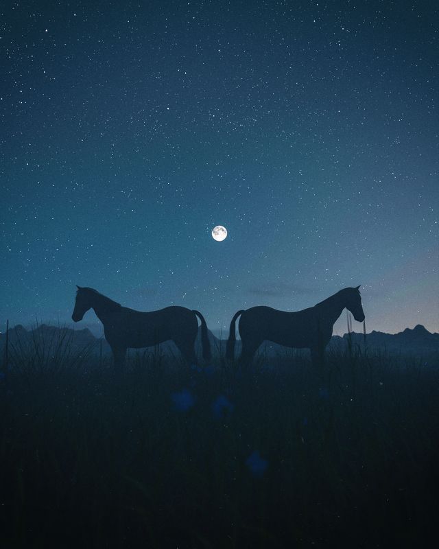 Under The Moon фото превью