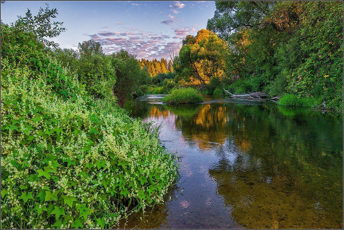 калужская обл.,р.протва, утро, АНАТОЛИЙ ДОВЫДЕНКО
