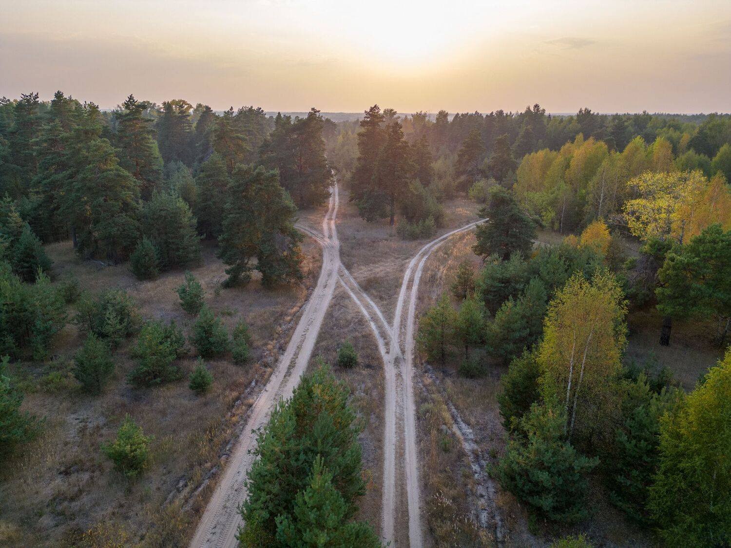 закат, лес, дорога, Баландин Дмитрий