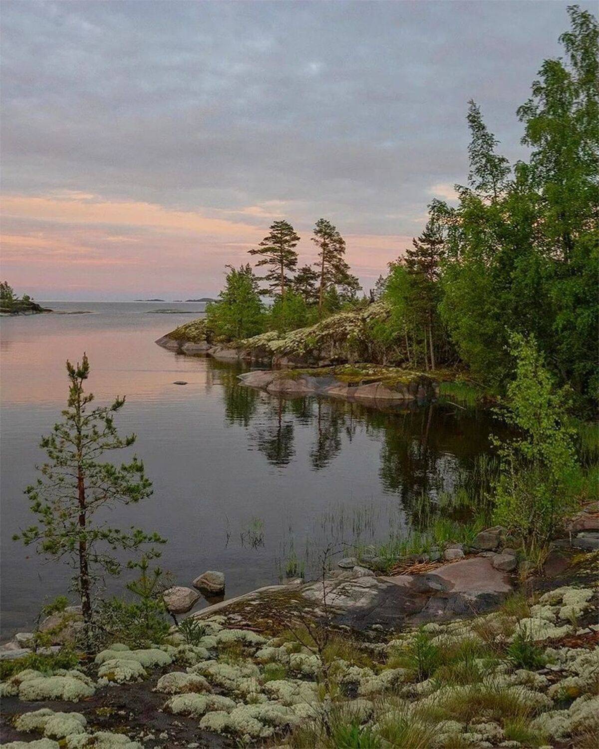 , Петр Косых