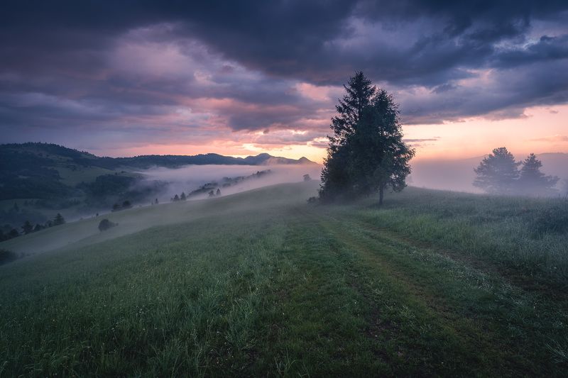 Somewhere in Pieniny mountains фото превью