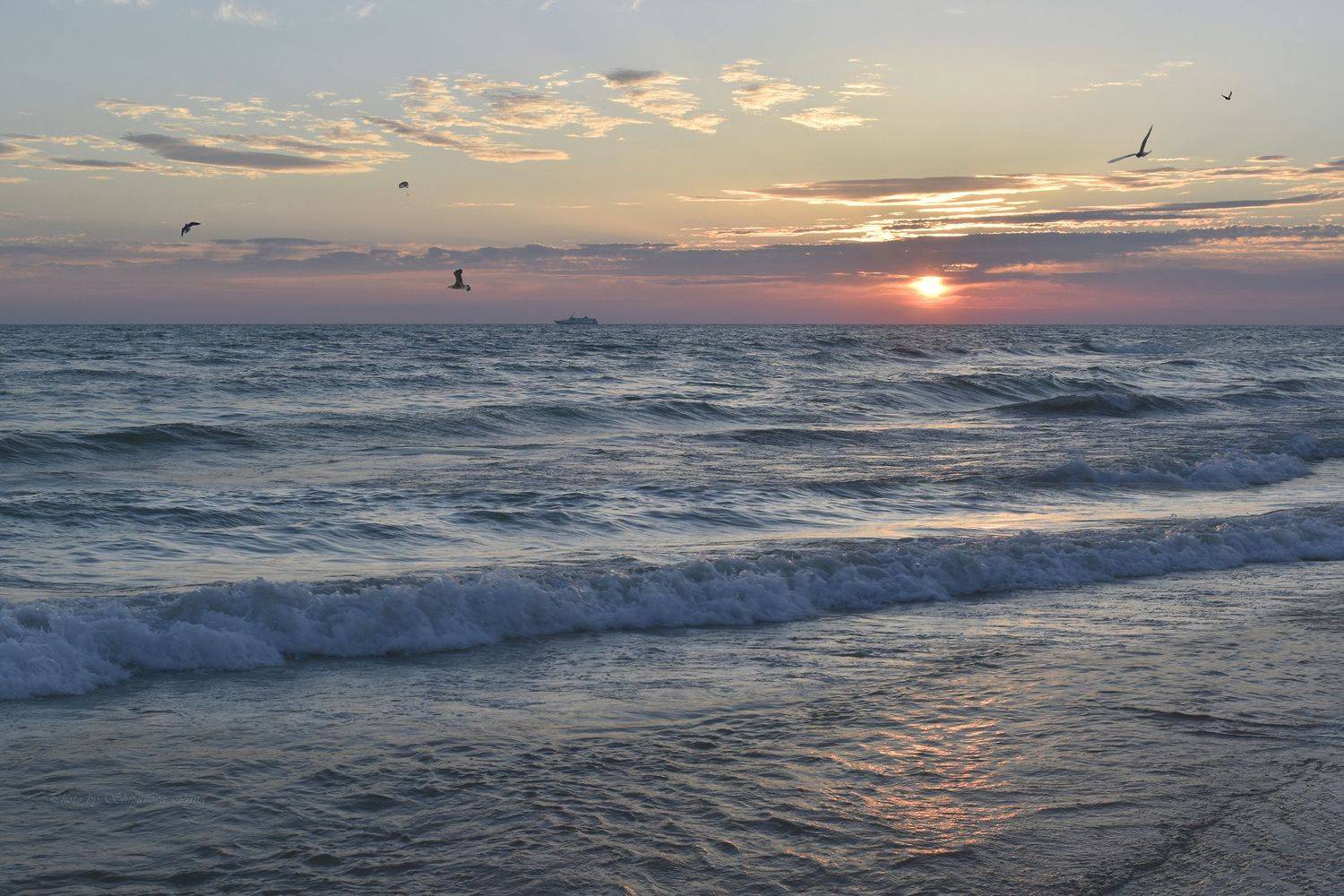 , Шипунова Ирина