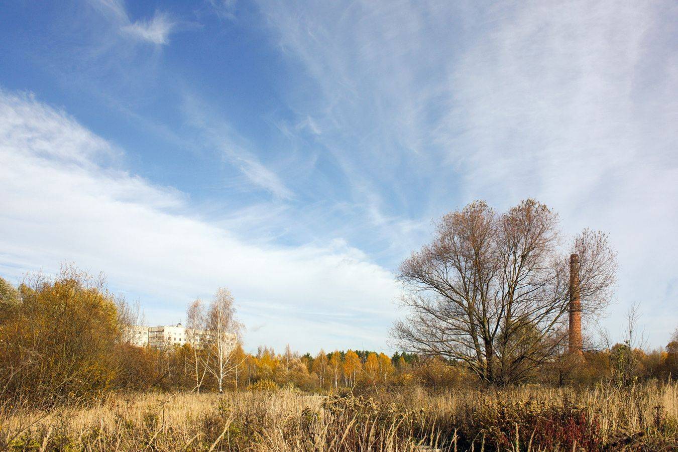 , КарОл