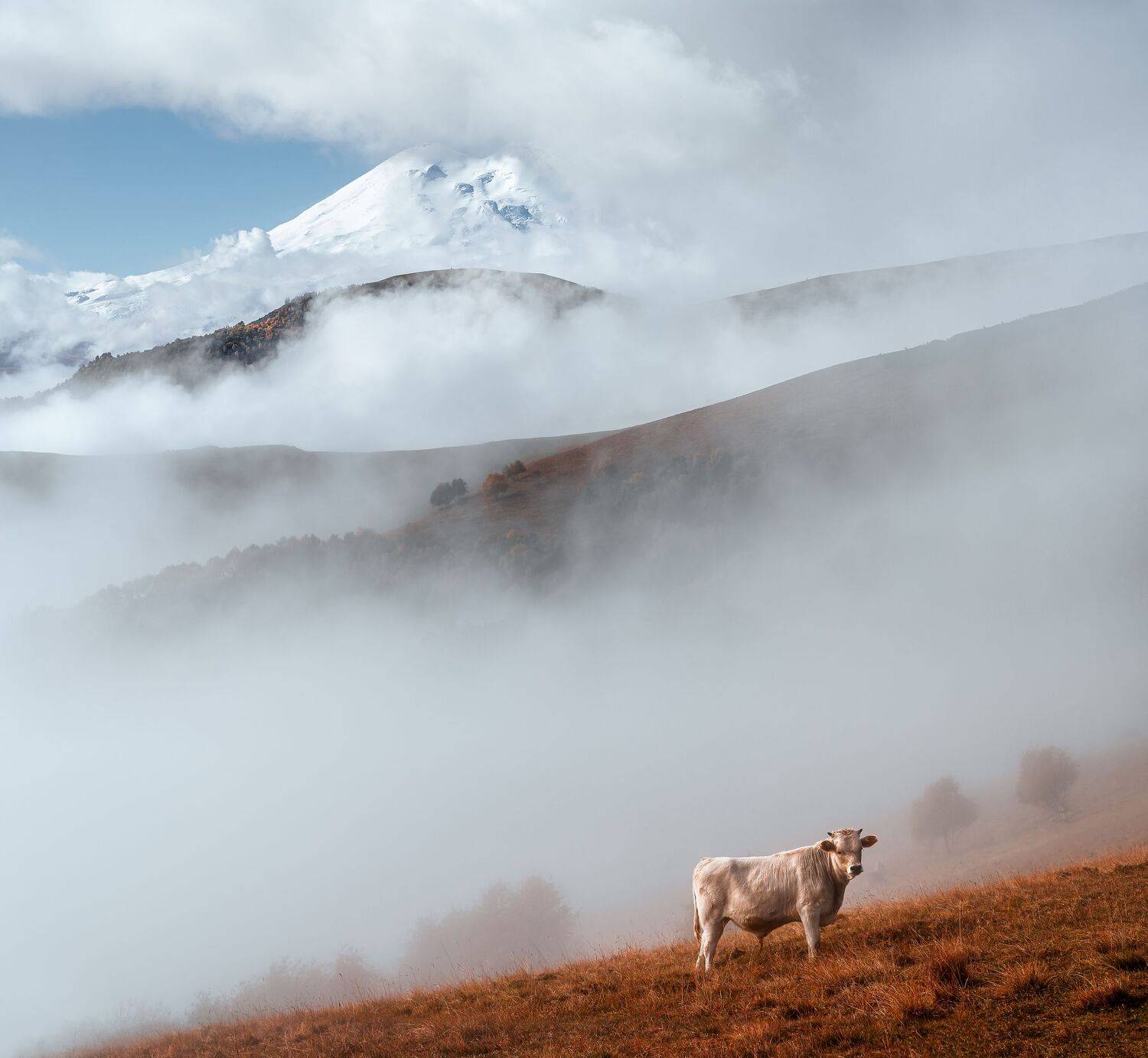 эльбрус, осень, пейзаж, туман, elbrus, Мазурева Анастасия