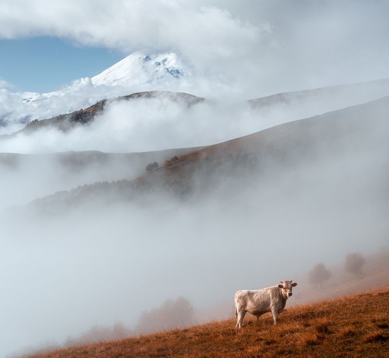 эльбрус, осень, пейзаж, туман, elbrus  фото превью