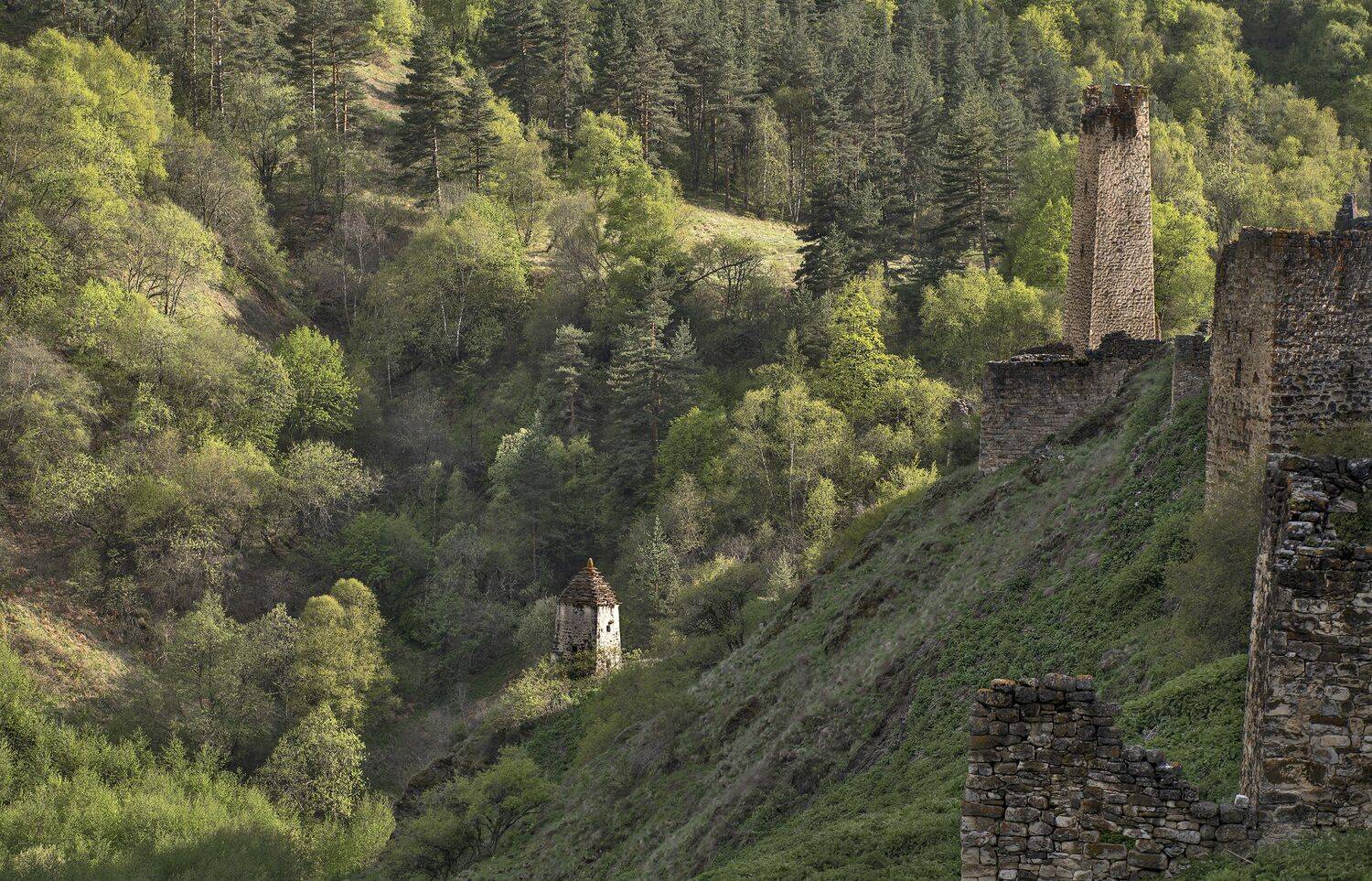 ингушетия, май, зона отчуждения., Вячеслав Бирюков