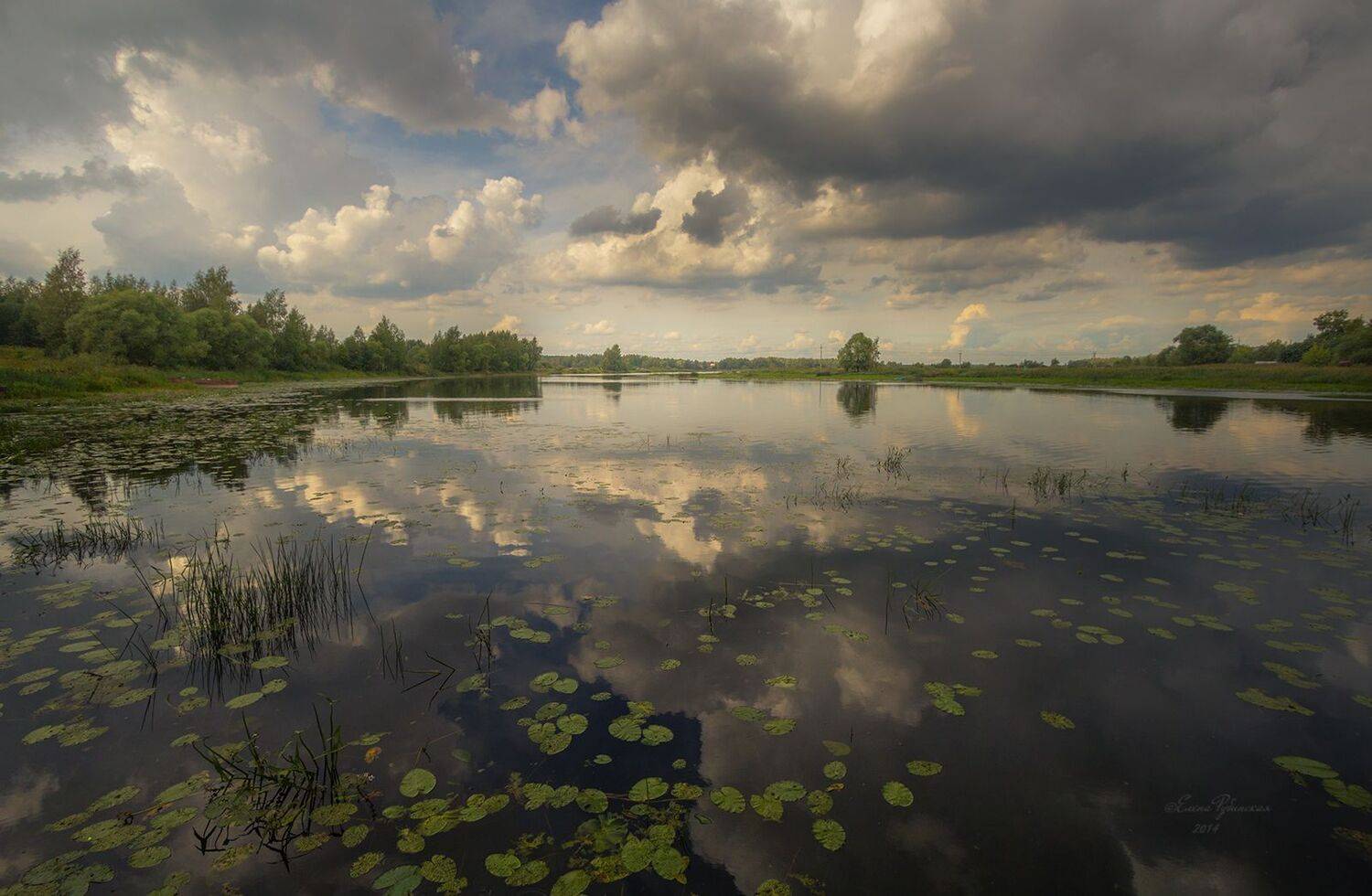 , Елена Рубинская