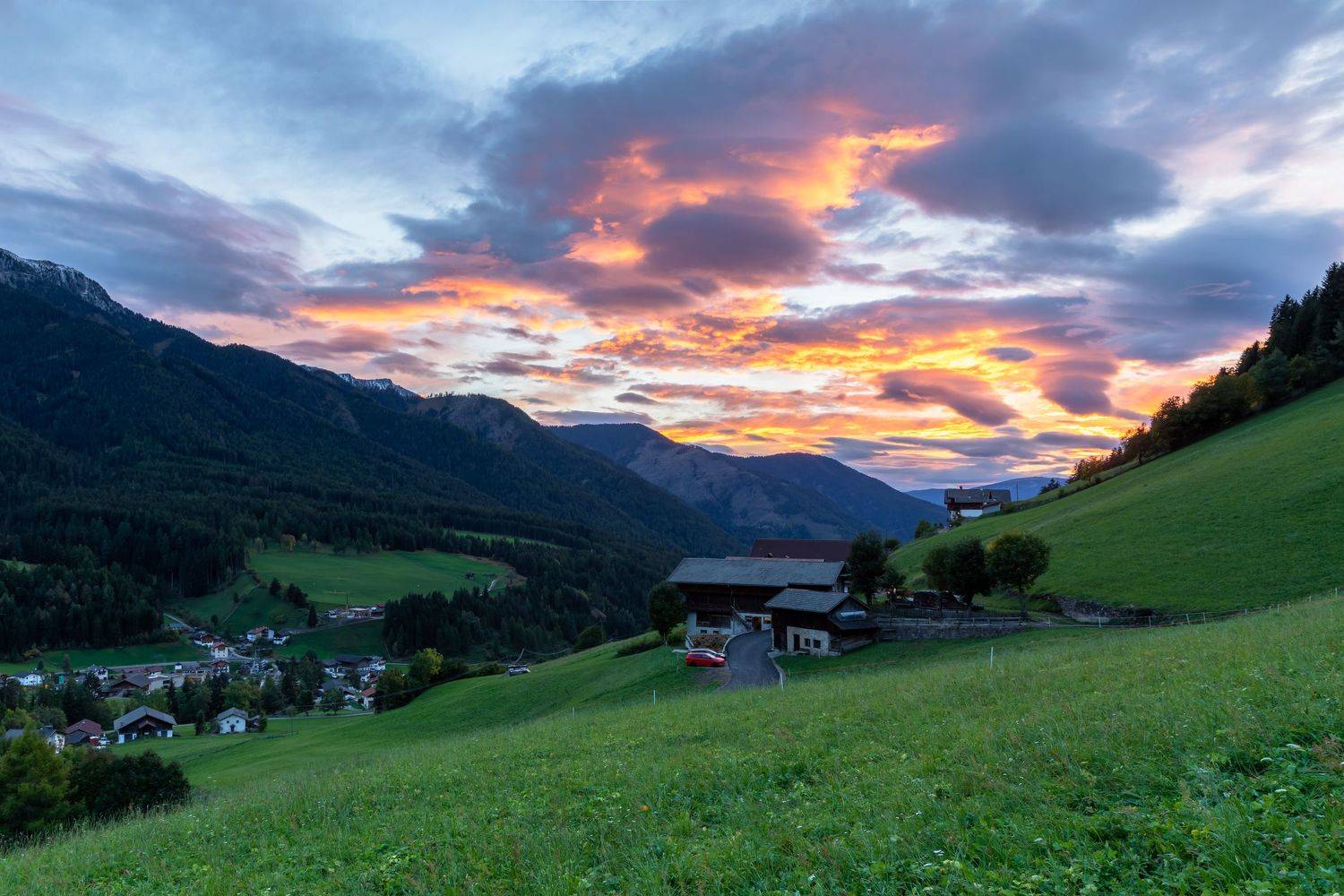 , Евгения Чех