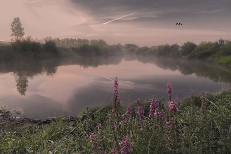 Краски уходящего лета. фото превью