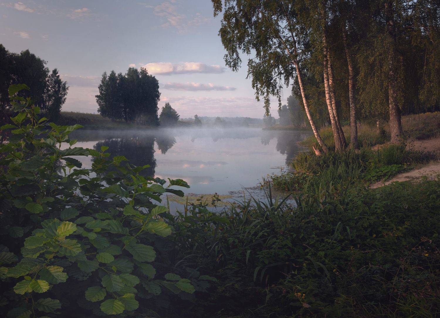 лес, свет, утро, природа, Баранов Олег