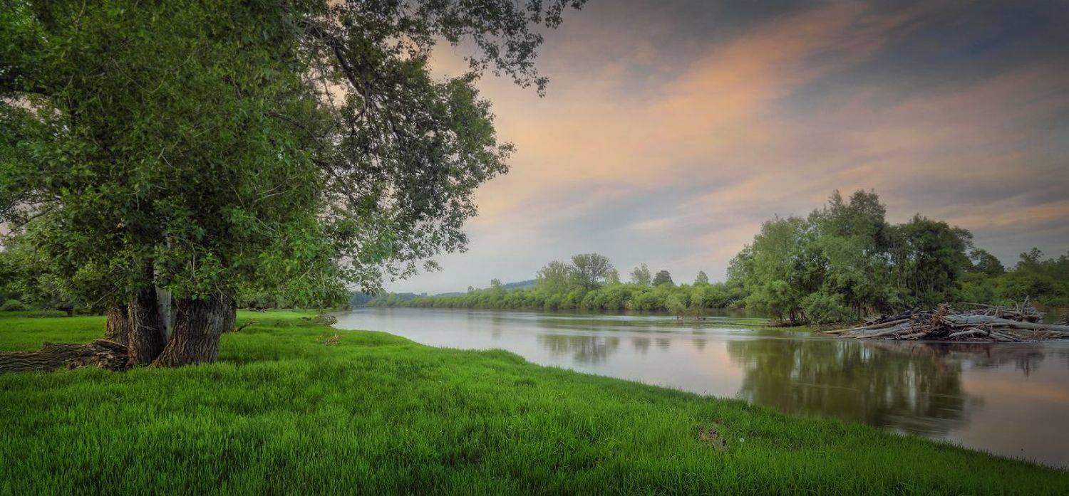 Сибирь река Оя Красноярский край, Александр Бархатов