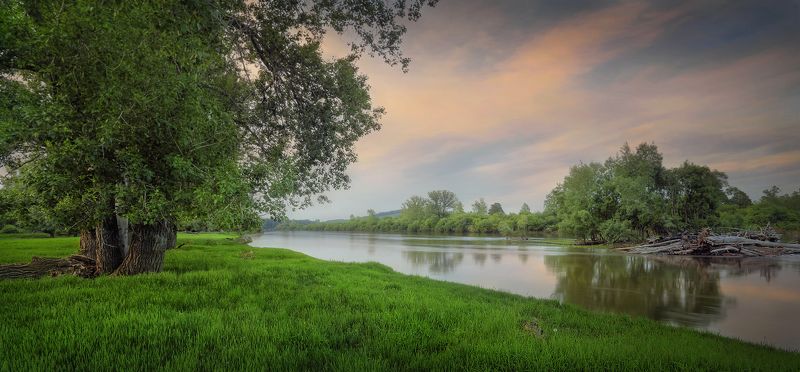 Сибирь река Оя Красноярский край На берегу реки сибирской фото превью