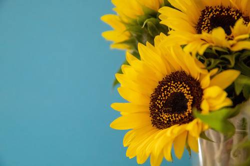 Цвета Украины