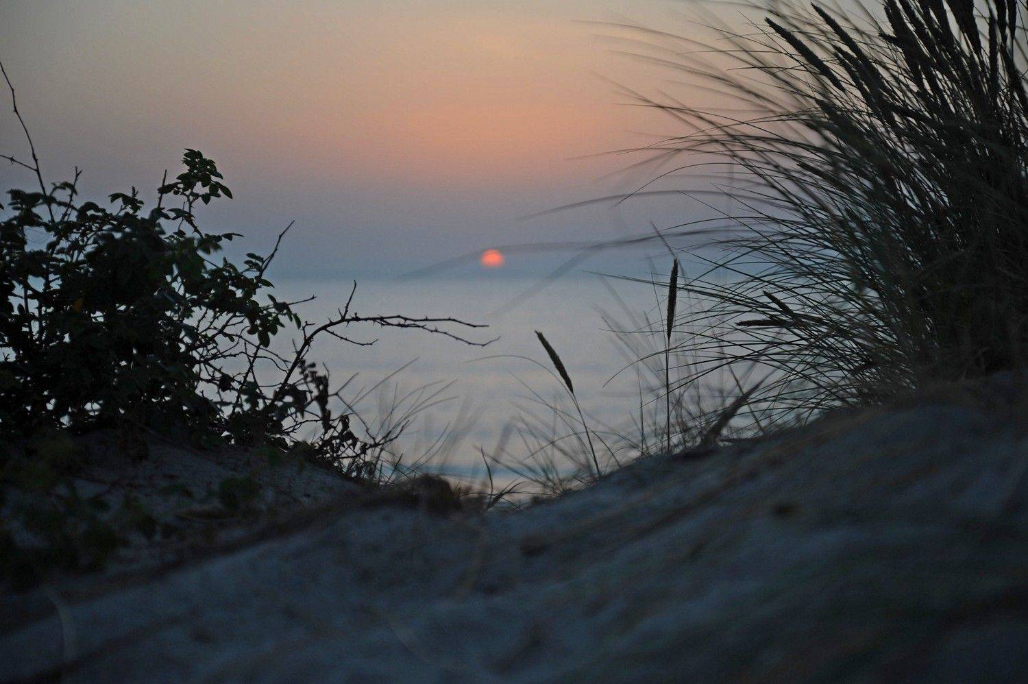 , Дарья Васильева