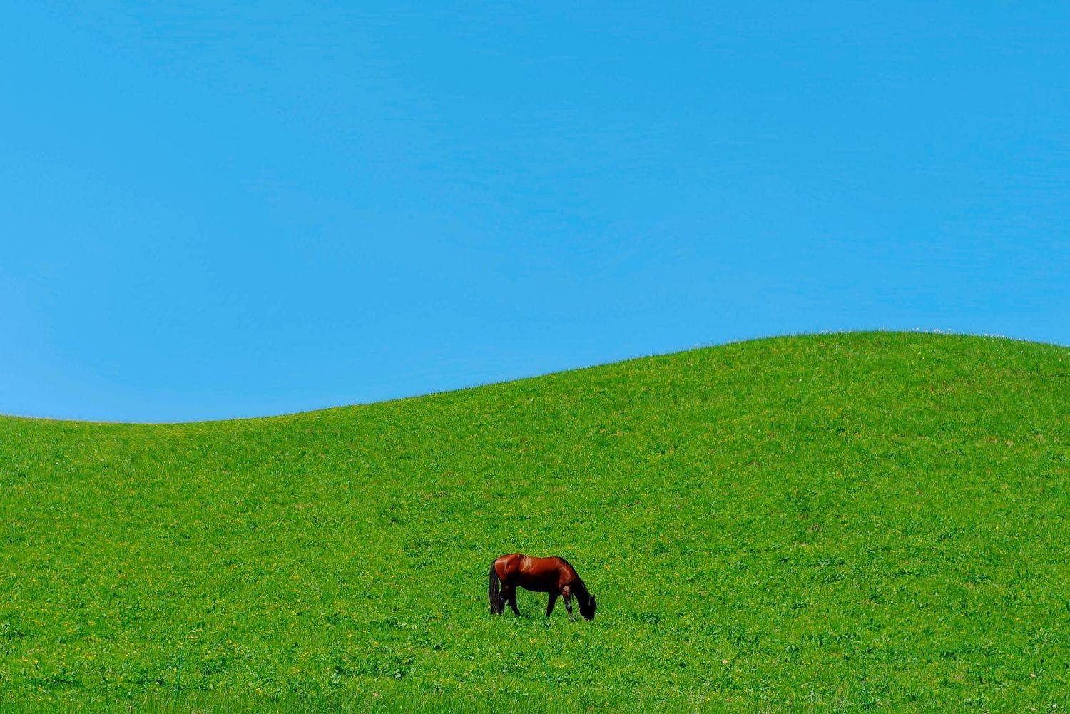 , Ольга Беккер