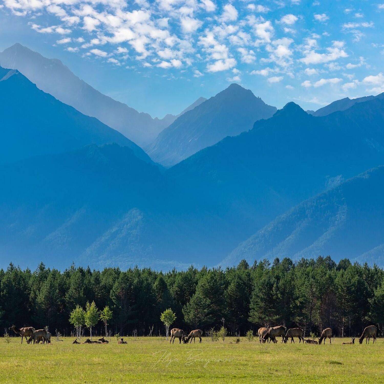 саяны, бурятия, фототур,, Илья Буянов