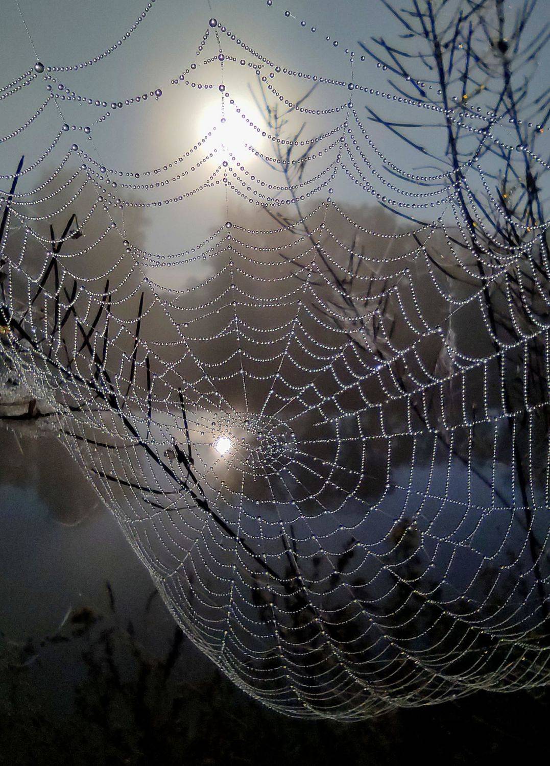 , Андрей Перешеин