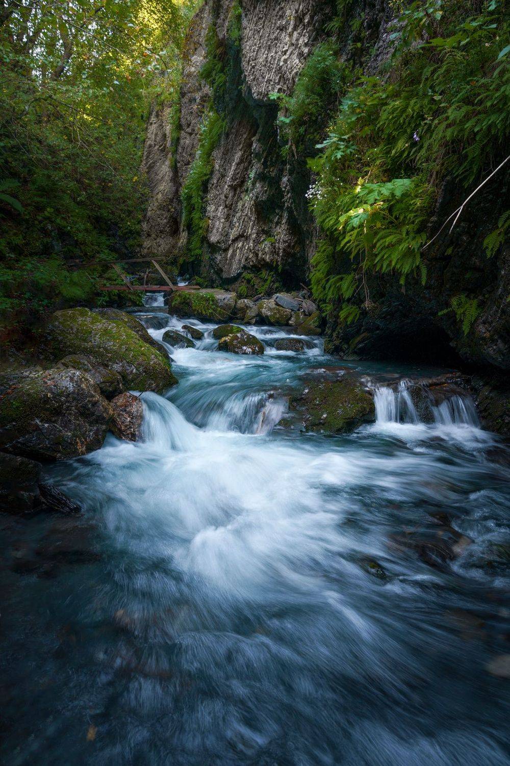 ручей,горы,поток.ингушетия, Григорий Бельцев