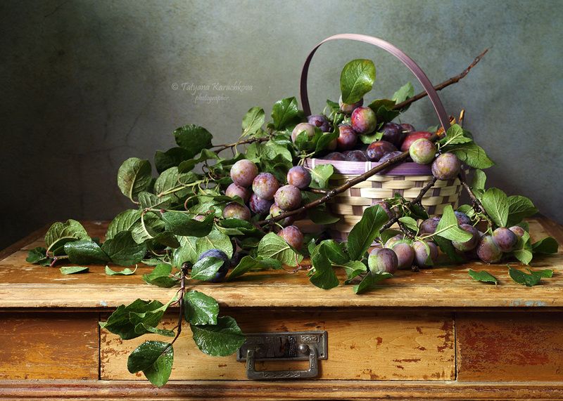 натюрморт, лето, сливы Сливы фото превью