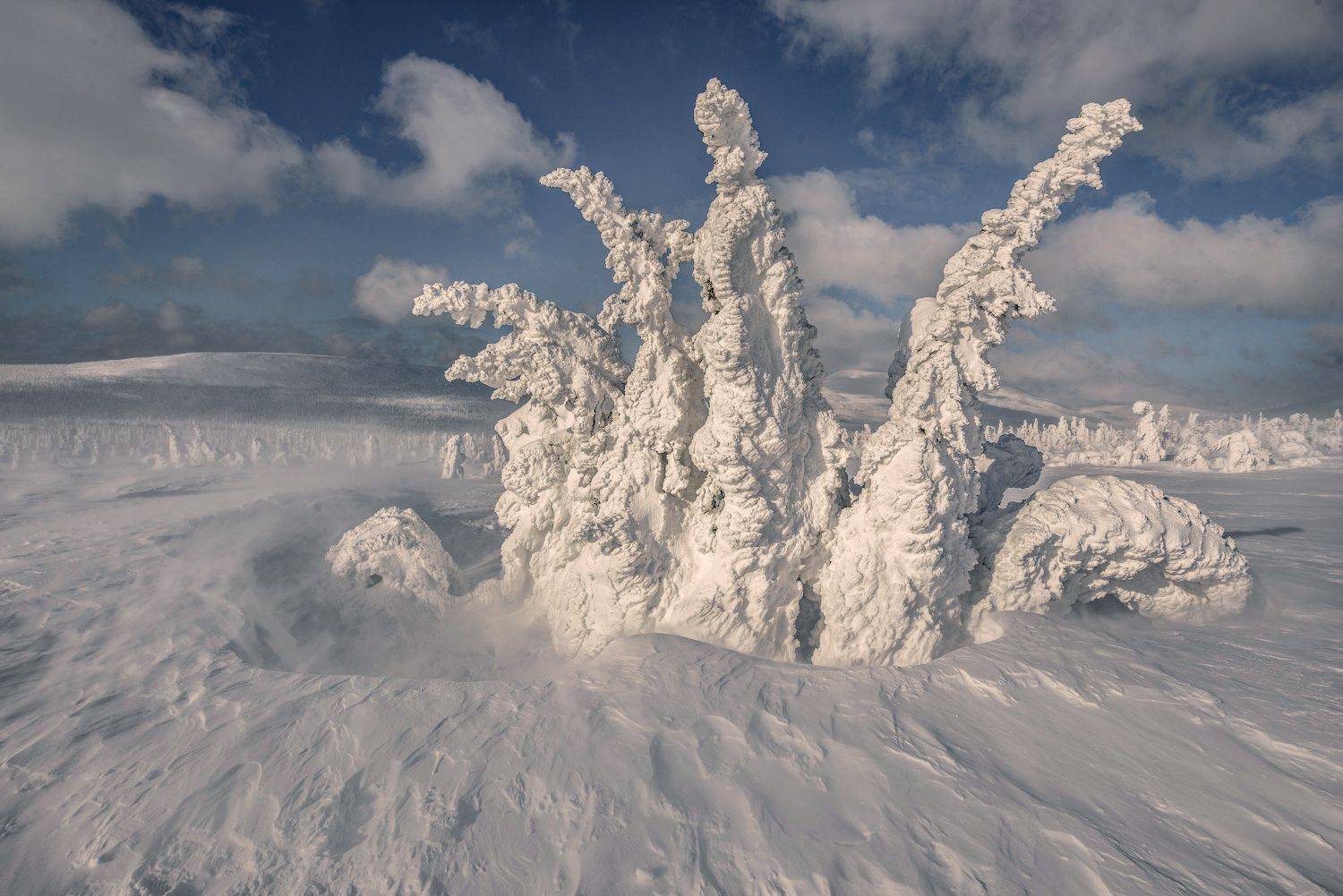 , Кутыгин Эдуард