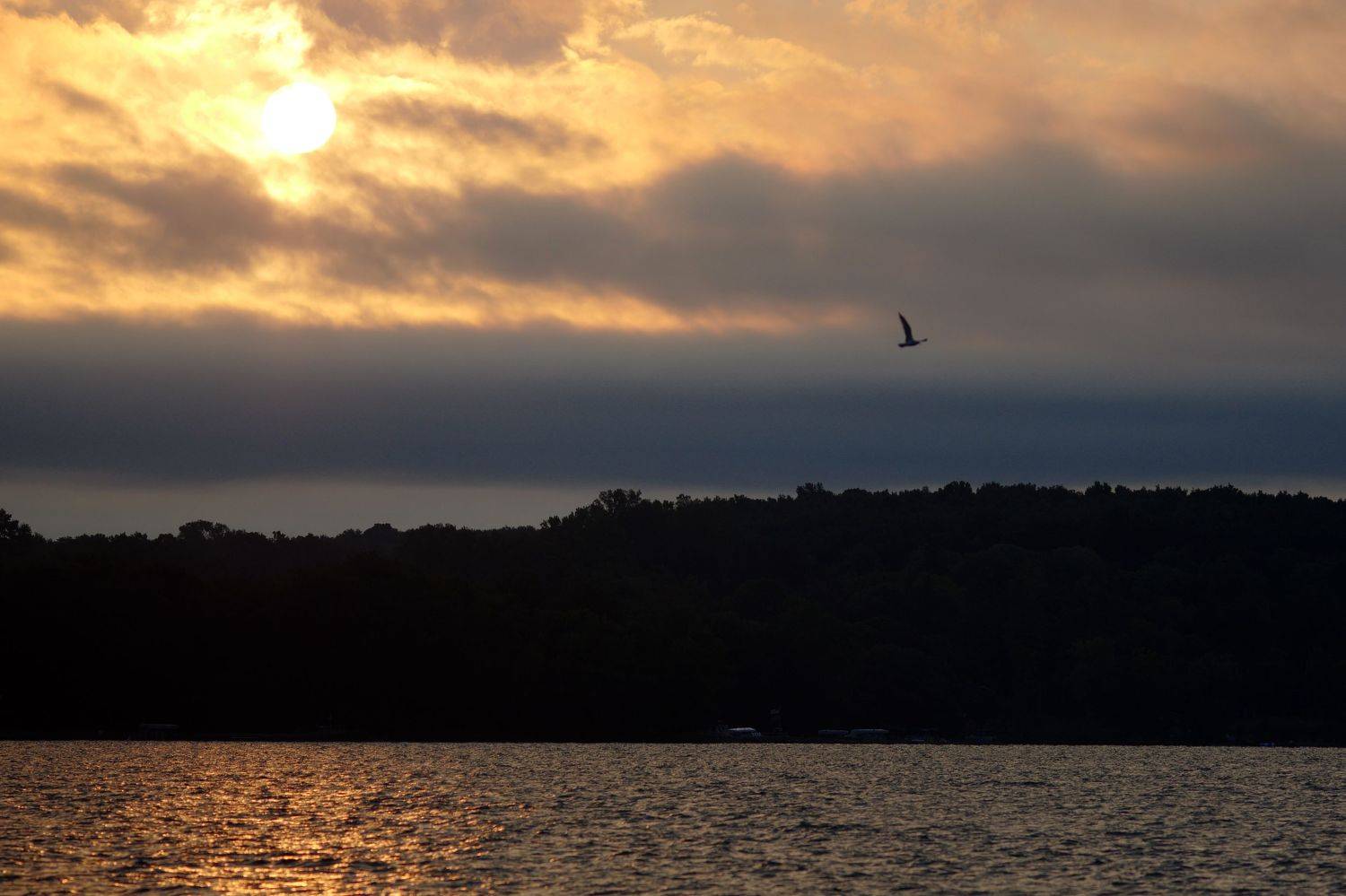 perspective, isamonov