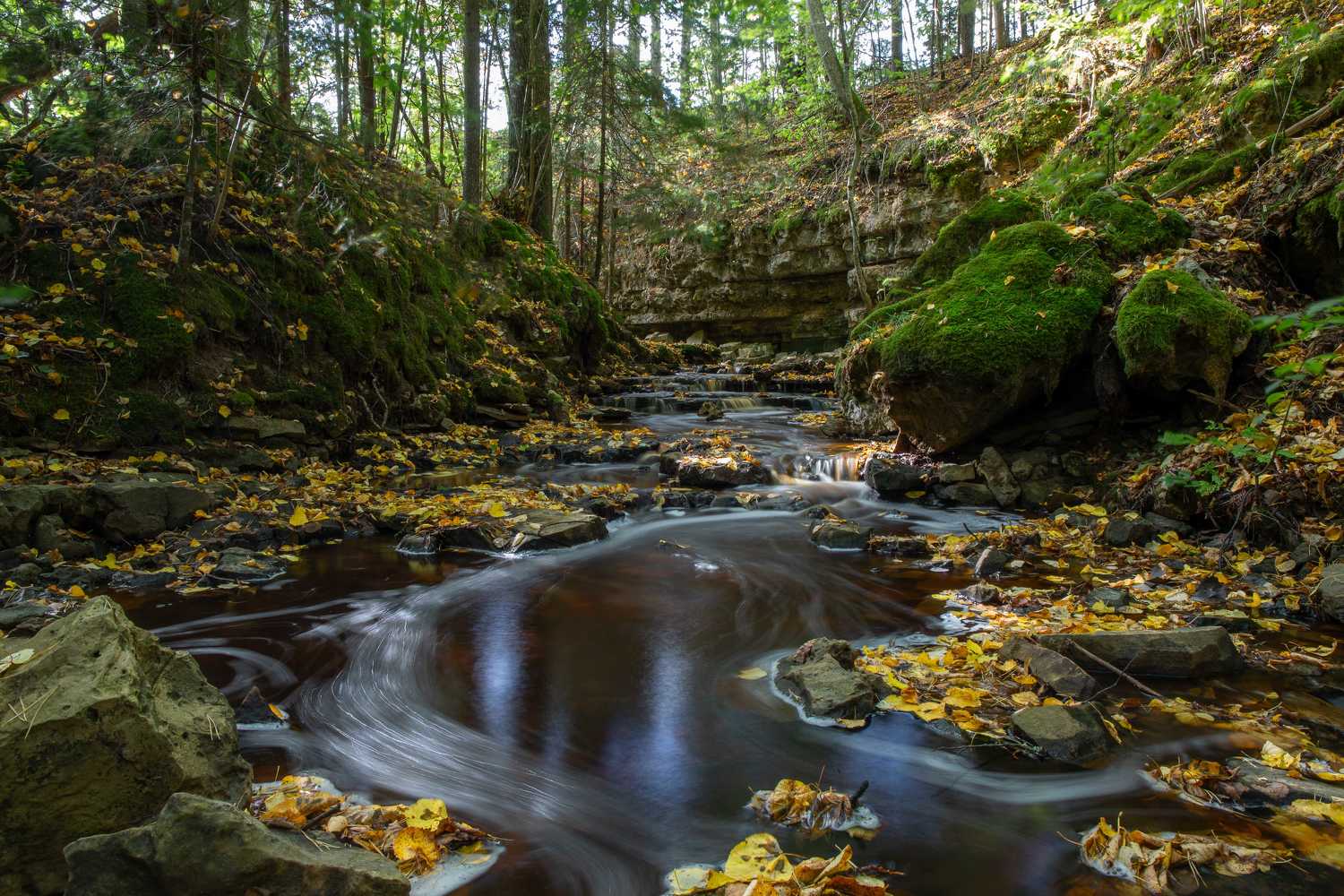 Ravine, Spundiņ&scaron; Vilnis