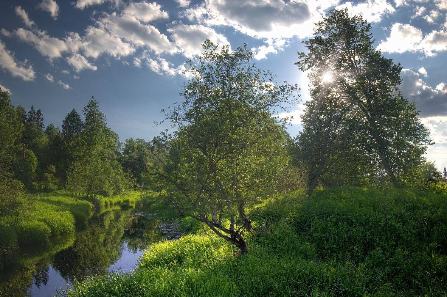 , Алексей Никонов