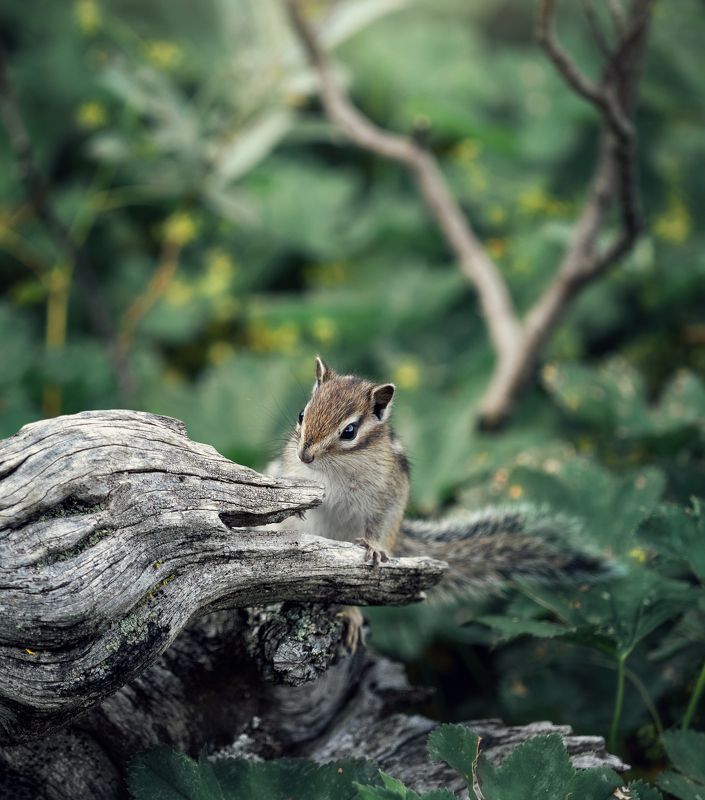 Робкое знакомство фото превью