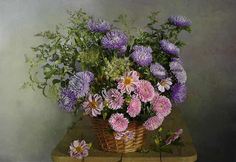 натюрморт, вера павлухина, цветы, астры, Натюрморт с астрами фото превью
