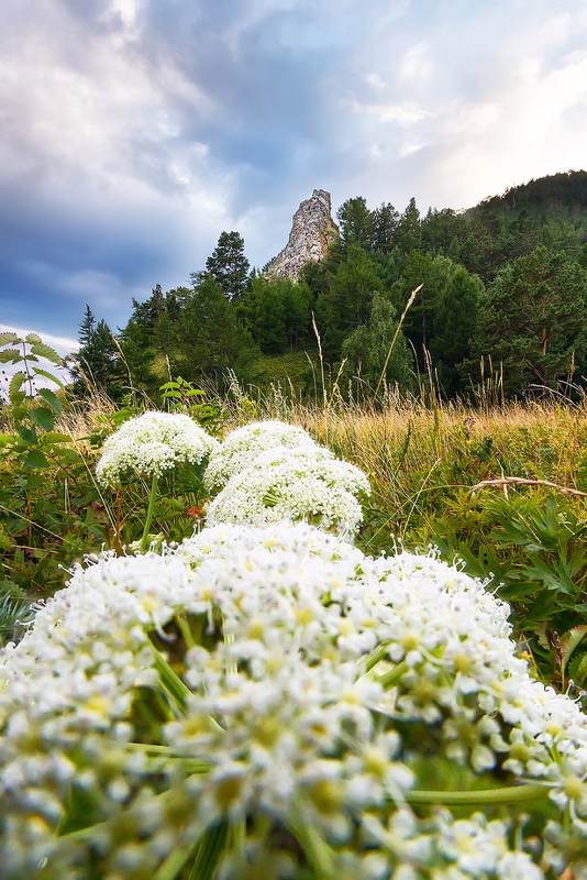Байкал, лето, ббт Летов Кадильном фото превью