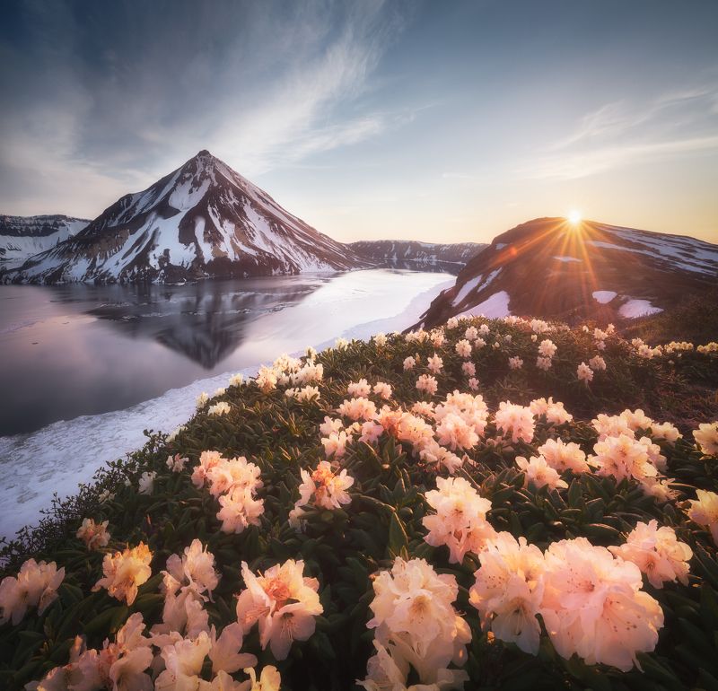 Онекотан. Цветы, лед и пламя фото превью