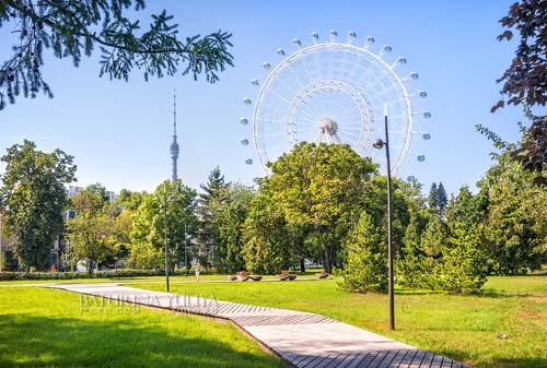 Солнце Москвы
