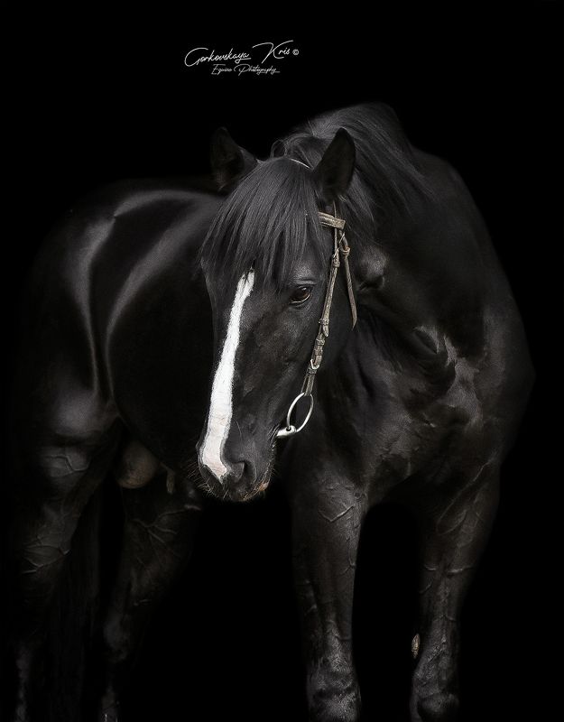 Black background фото превью