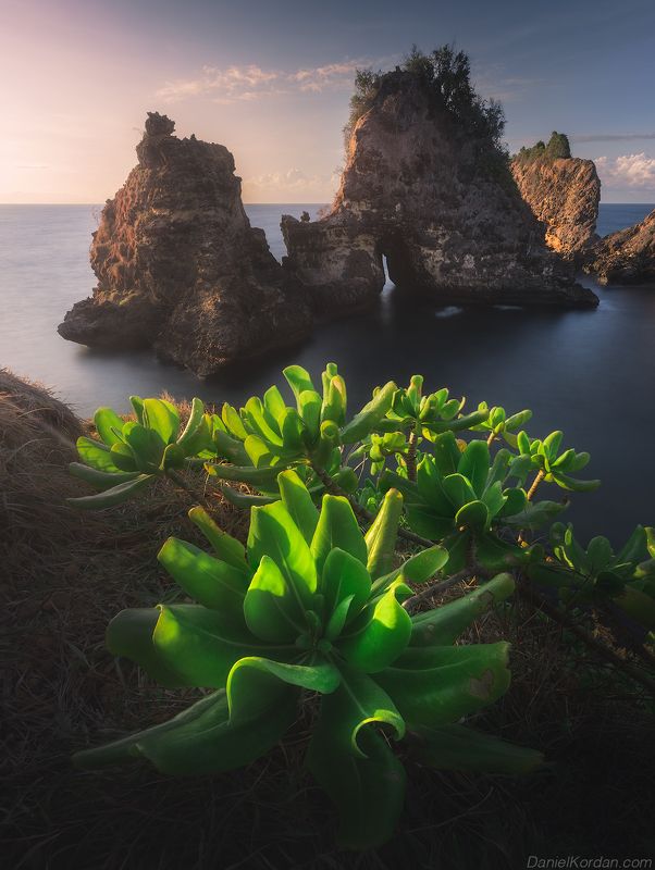 Lombok Sari Goang