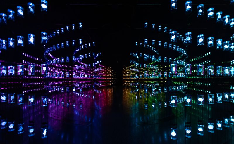 The Museum of the Future, Dubai фото превью