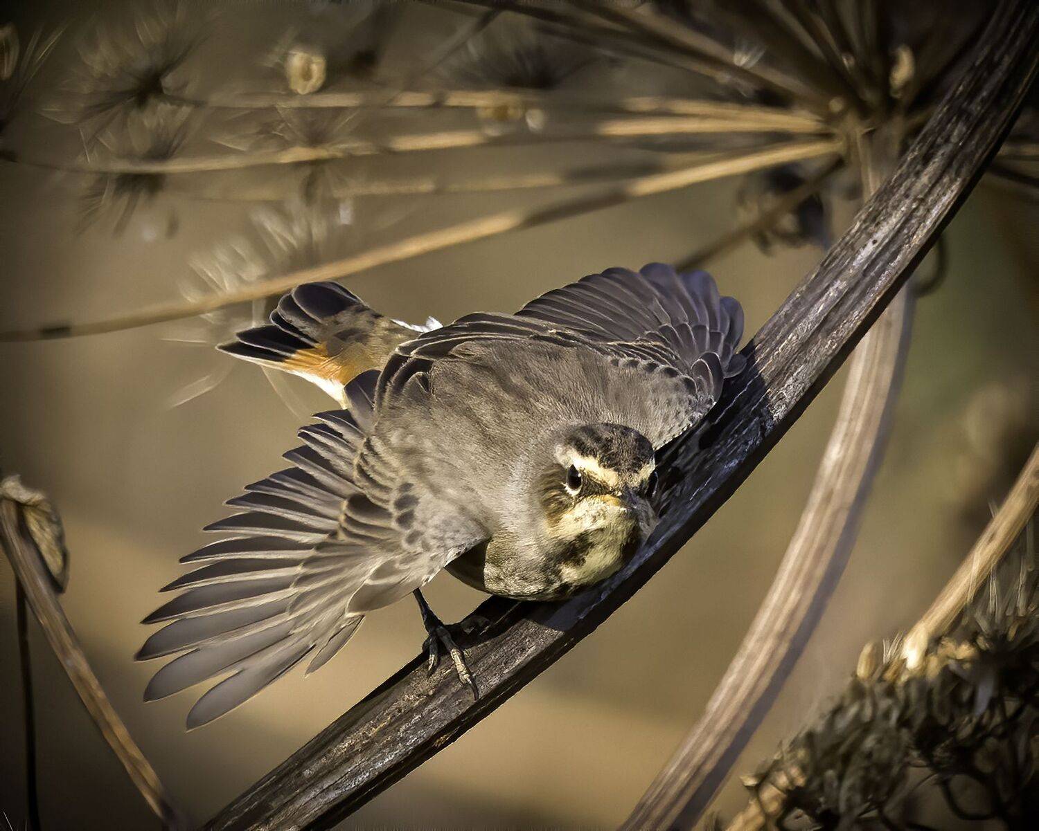 , Михаил Ездаков