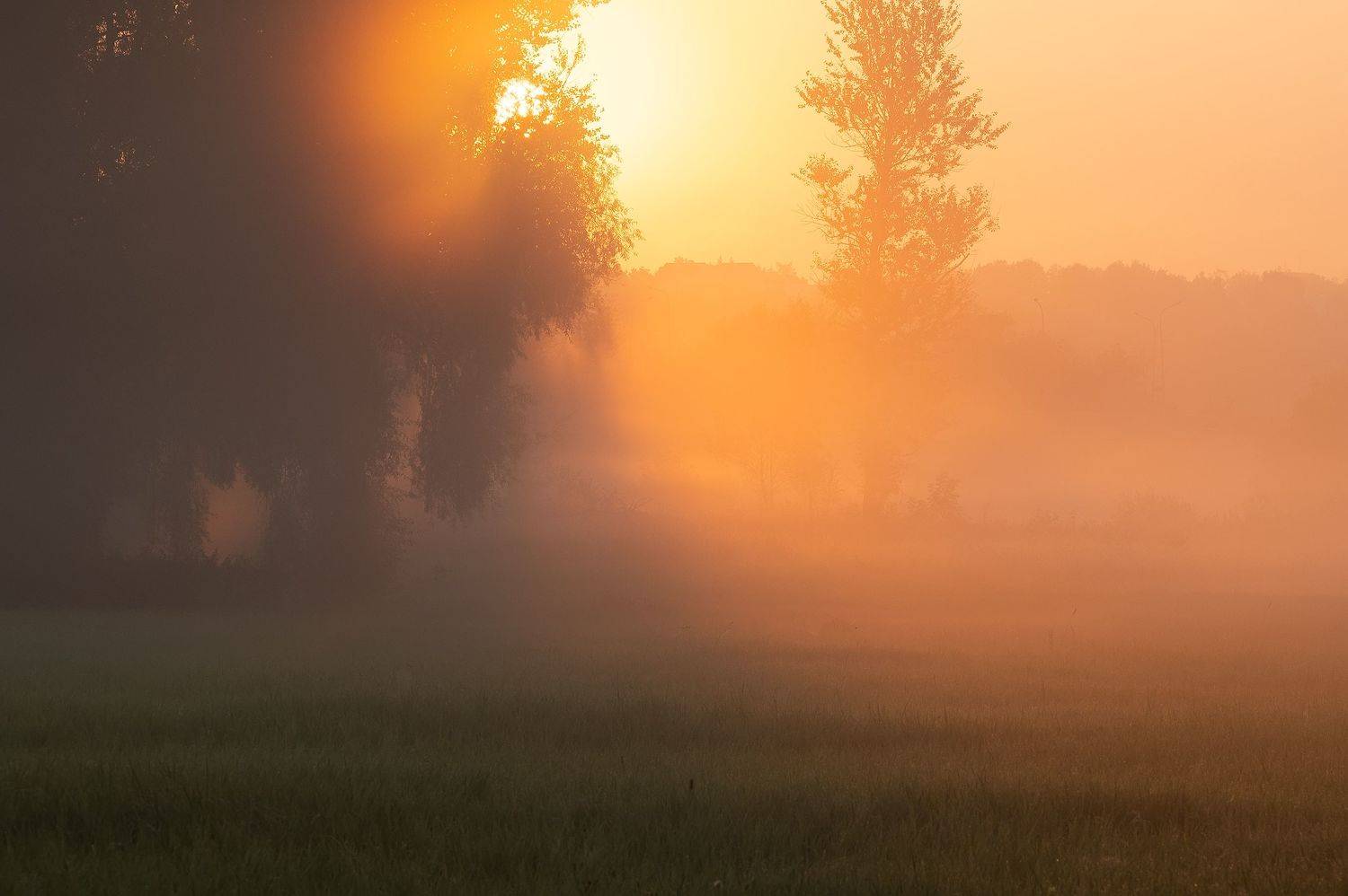 , Виталий Стрельцов