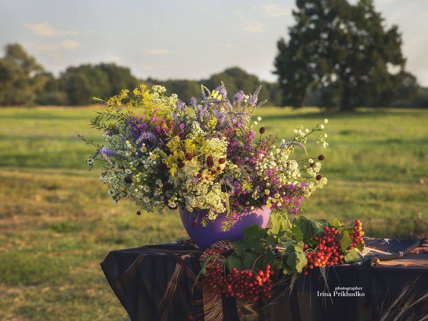 натюрморт, пленэр, пейзаж, цветы, калина, Приходько Ирина