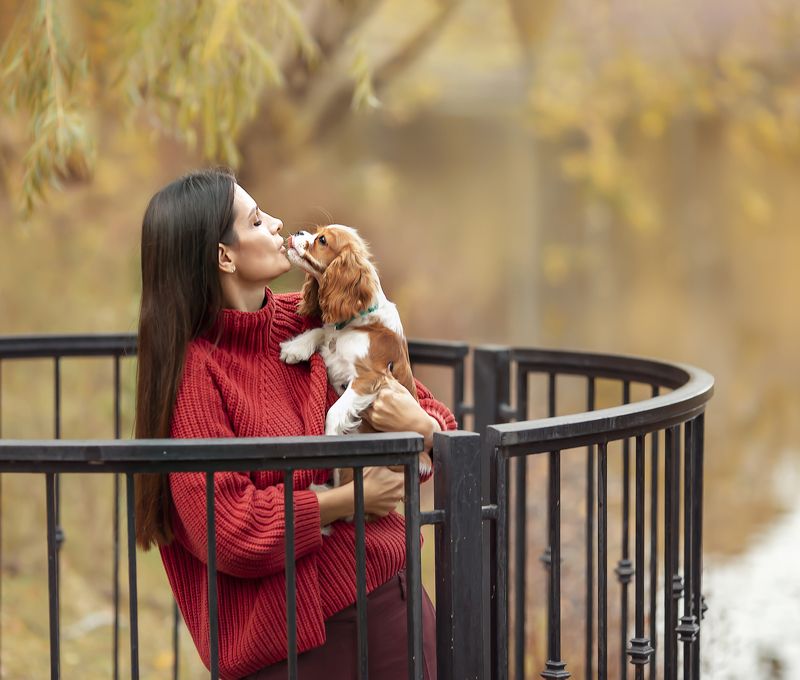 Поцелуй фото превью