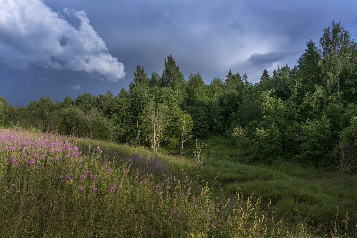 , Волоцков Александр