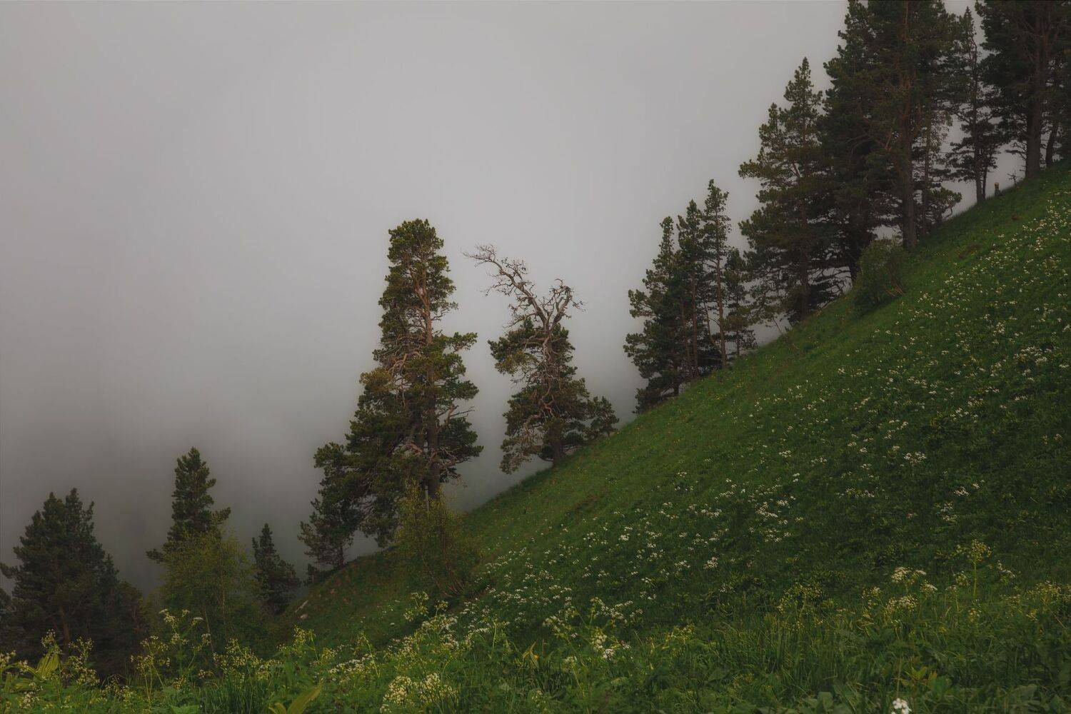 Большой Тхач, Большой Кавказ, Адыгея, июнь 2022, Дмитрий Шишкин