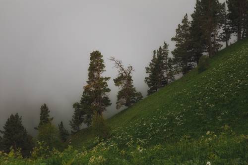 В национальном парке Большой Тхач