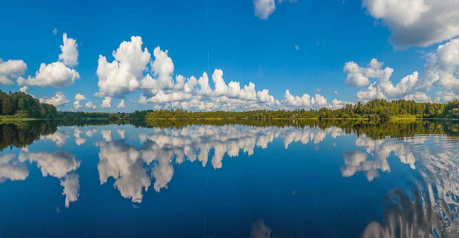 , Напалкин Станислав