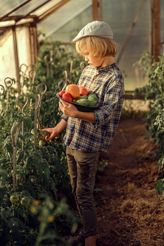 Юный садовод продолжение фото превью