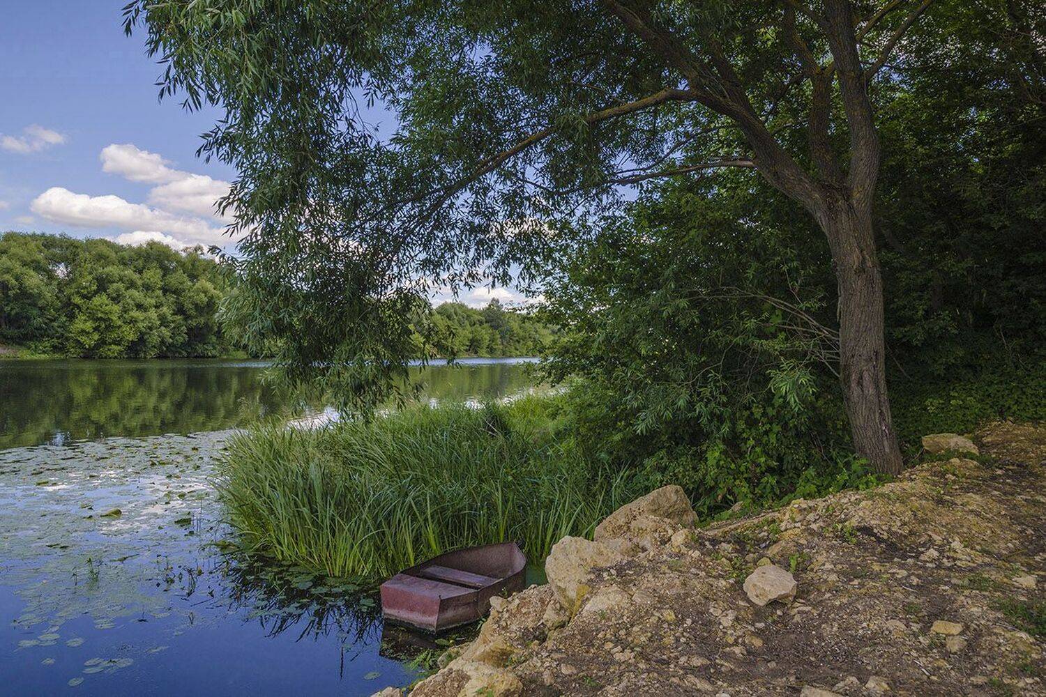 река, дон, куликовка - 2, Михаил Агеев