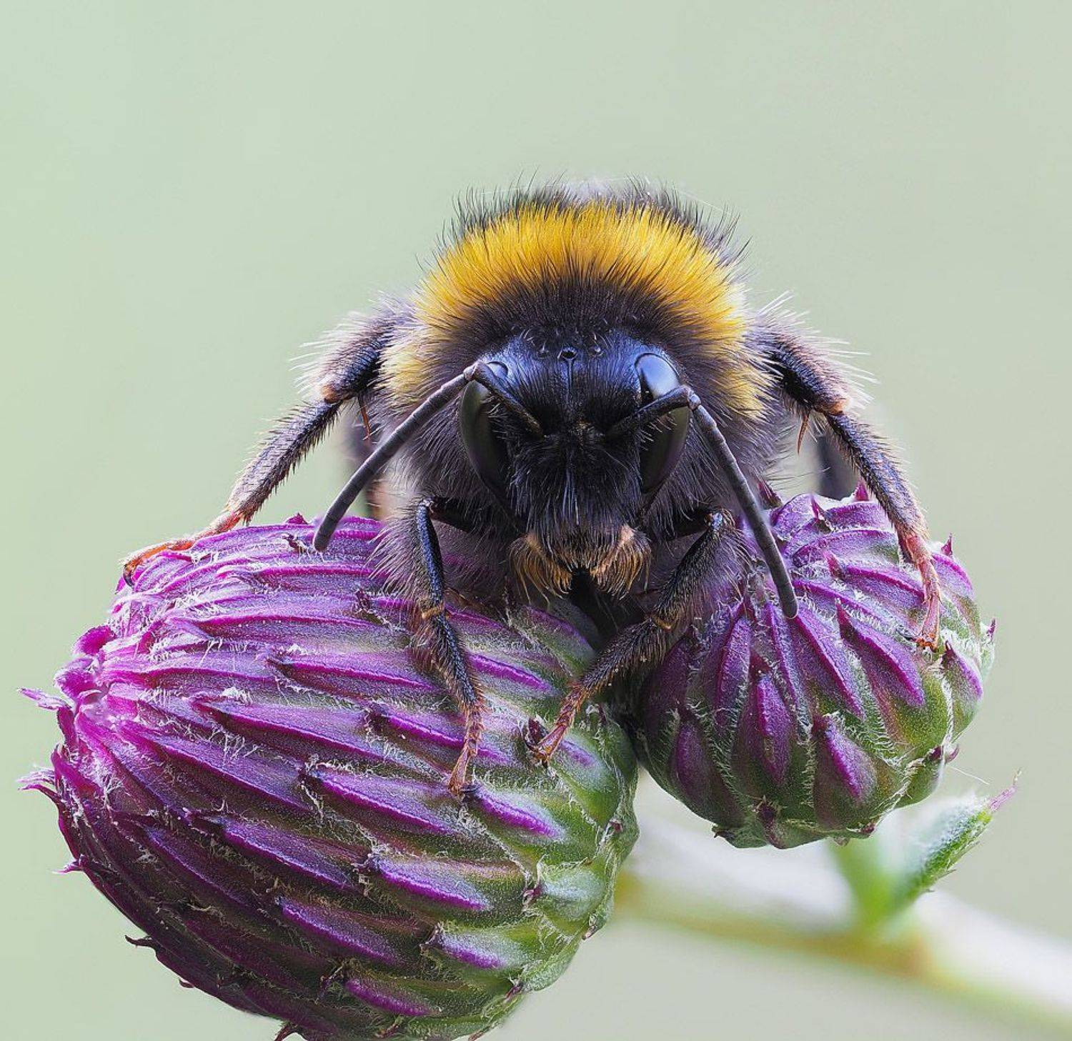 , Лукашук Евгений